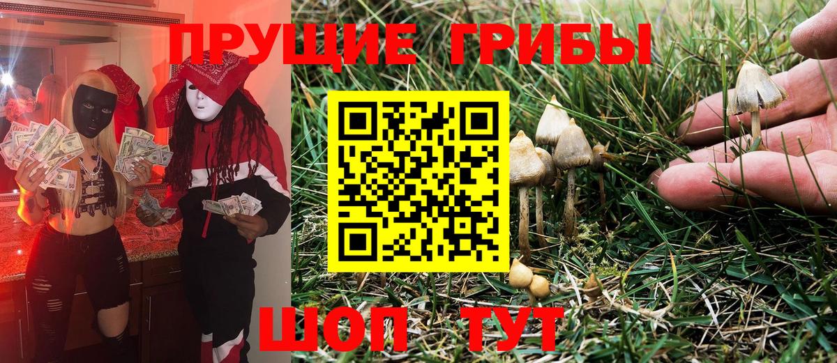 Чехов  Галлюциногенные грибы GOLDEN TEACHER  Вход с VPN 